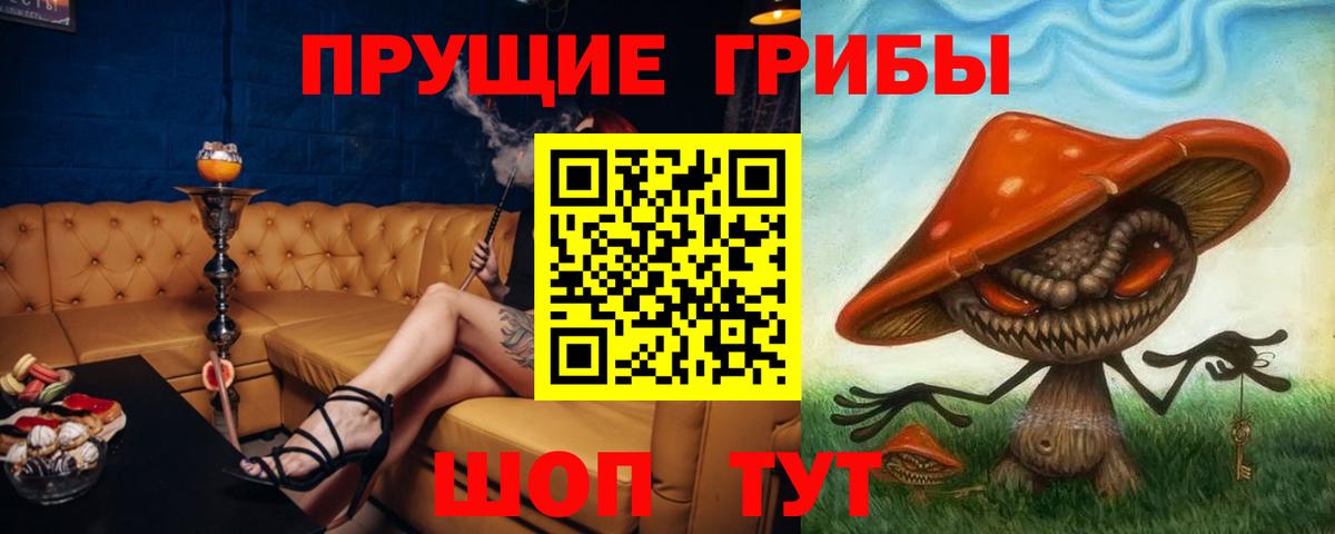 Псилоцибиновые грибы Psilocybine cubensis Мариинск